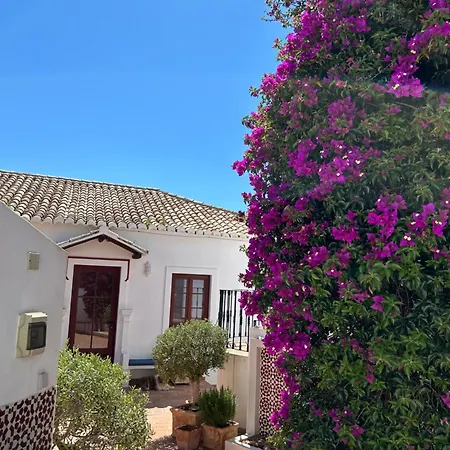Casa D'alte