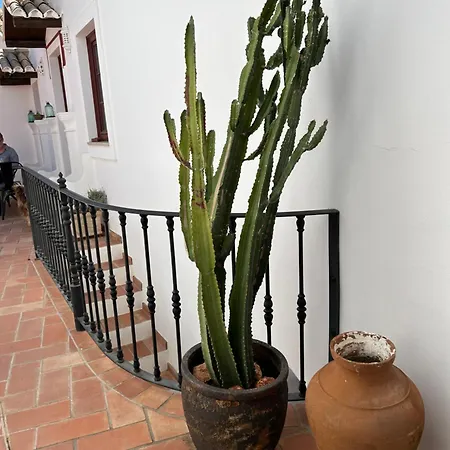 Bed and Breakfast Casa D'alte